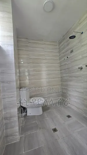 Furnished 3bdrm Apartment in አዲስ አበባ, Bole for rent