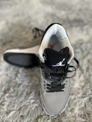 Photo - Air Jordan 3 Retro 'Wolf Grey'