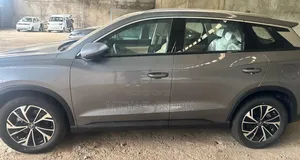 New BYD Song Pro DM-i 2025 Gray