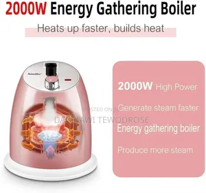 Sonifer Garment Steamer 