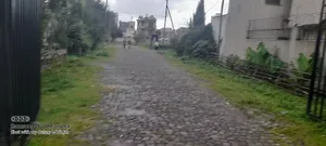 Furnished 3bdrm Farm House in Oromia-Finfinne for rent