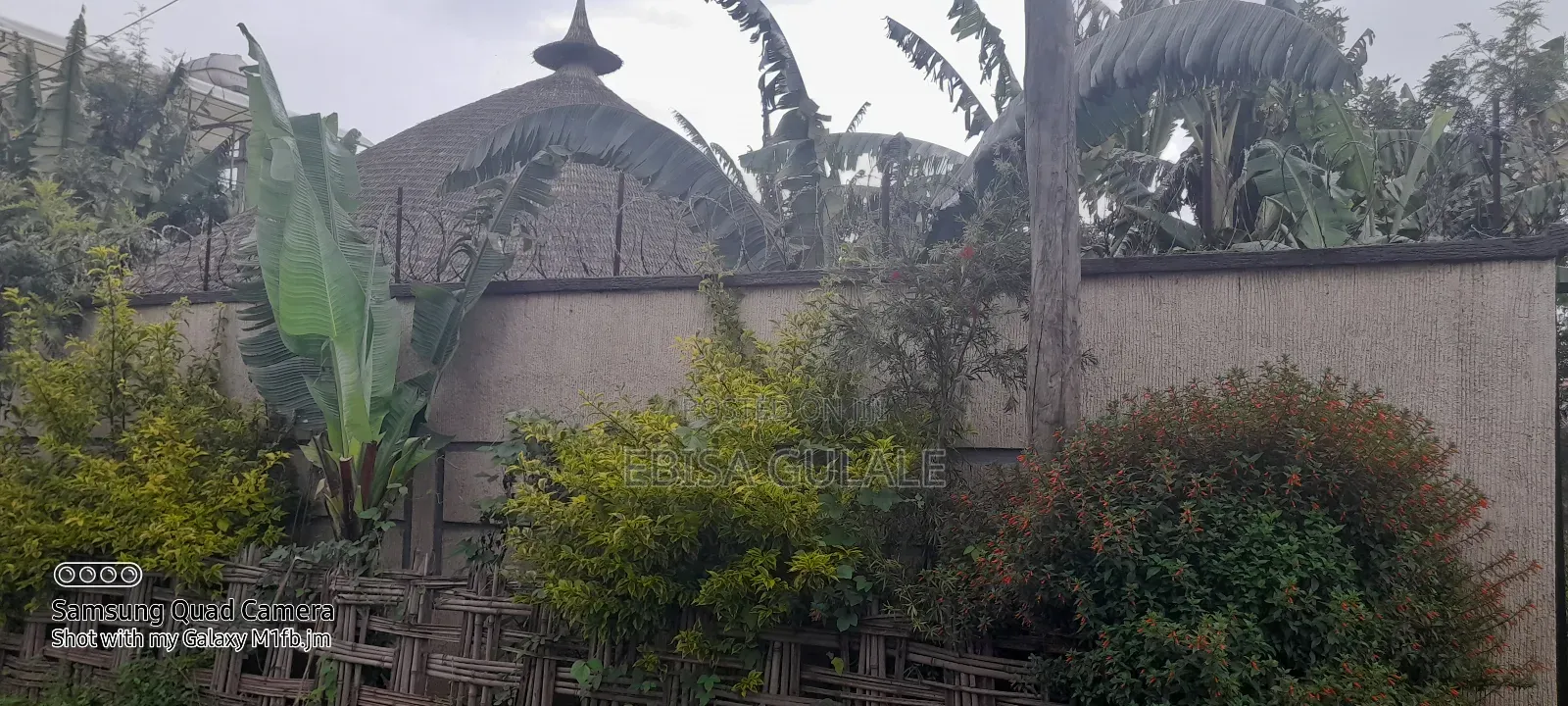 Furnished 3bdrm Farm House in Oromia-Finfinne for rent