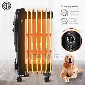 Oil Heater 2,900w