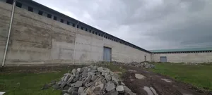 ቱለፋ የሚከራይ መጋዘን