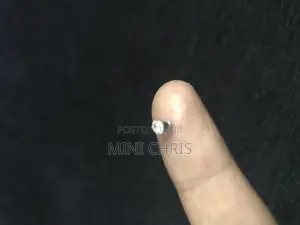 Magnetic Earring Loti