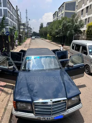 Mercedes-Benz 300D 1977 Black