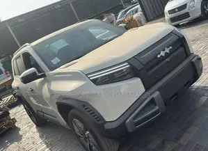 Photo - New BYD Song Plus 2025 Gray