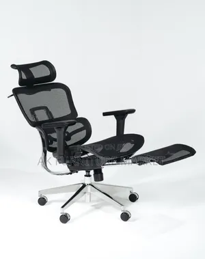 Luxury Ergonomic Chair New Model