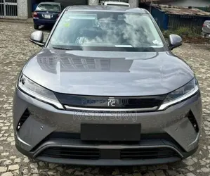 Photo - New BYD Yuan Up 45 kWh FWD 2024 Gray