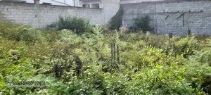 Photo - 5bdrm Farm House in Roseta Real State, Oromia-Finfinne for rent