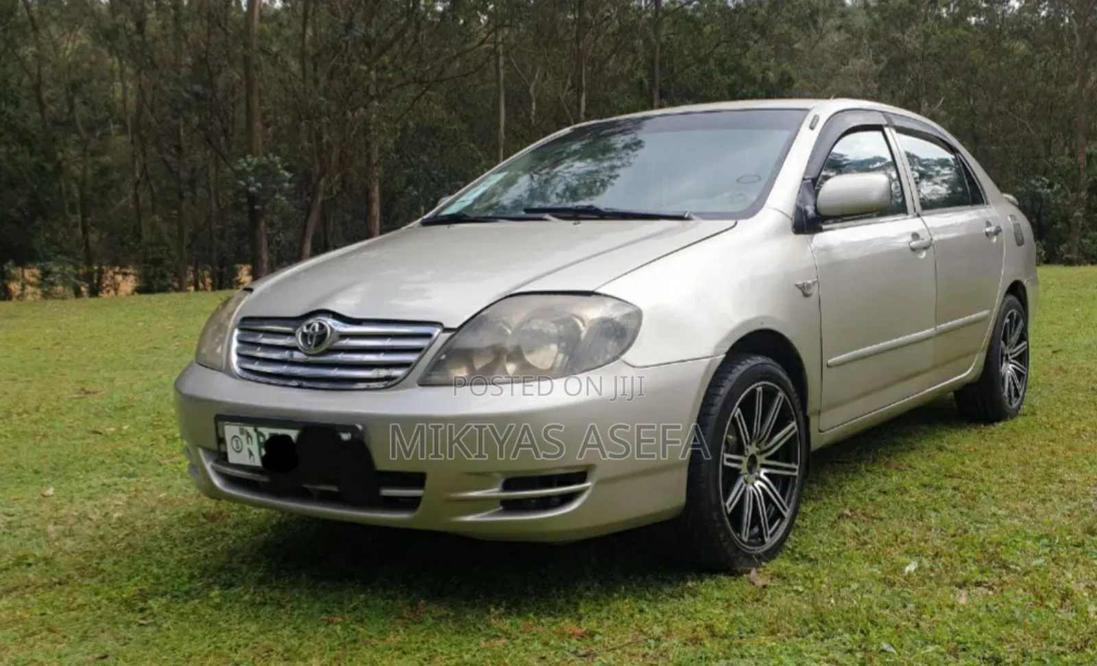 Toyota Corolla Sedan 2003