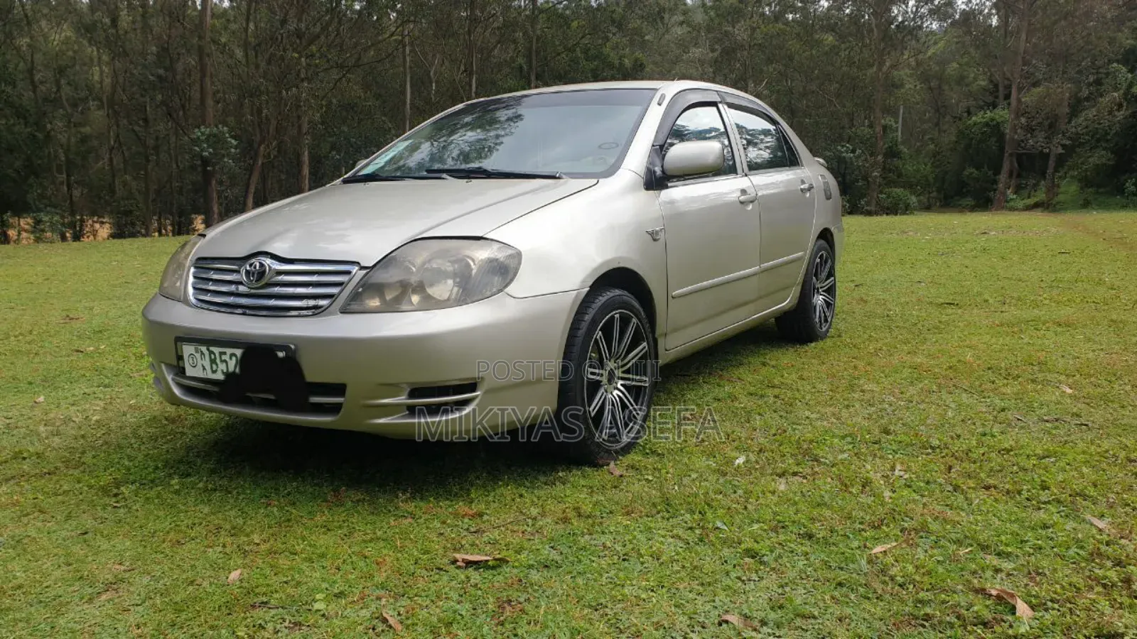 Toyota Corolla Sedan 2003
