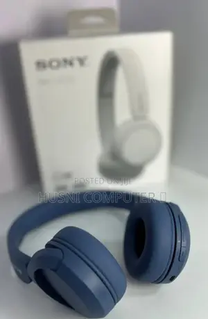 Sony Headset