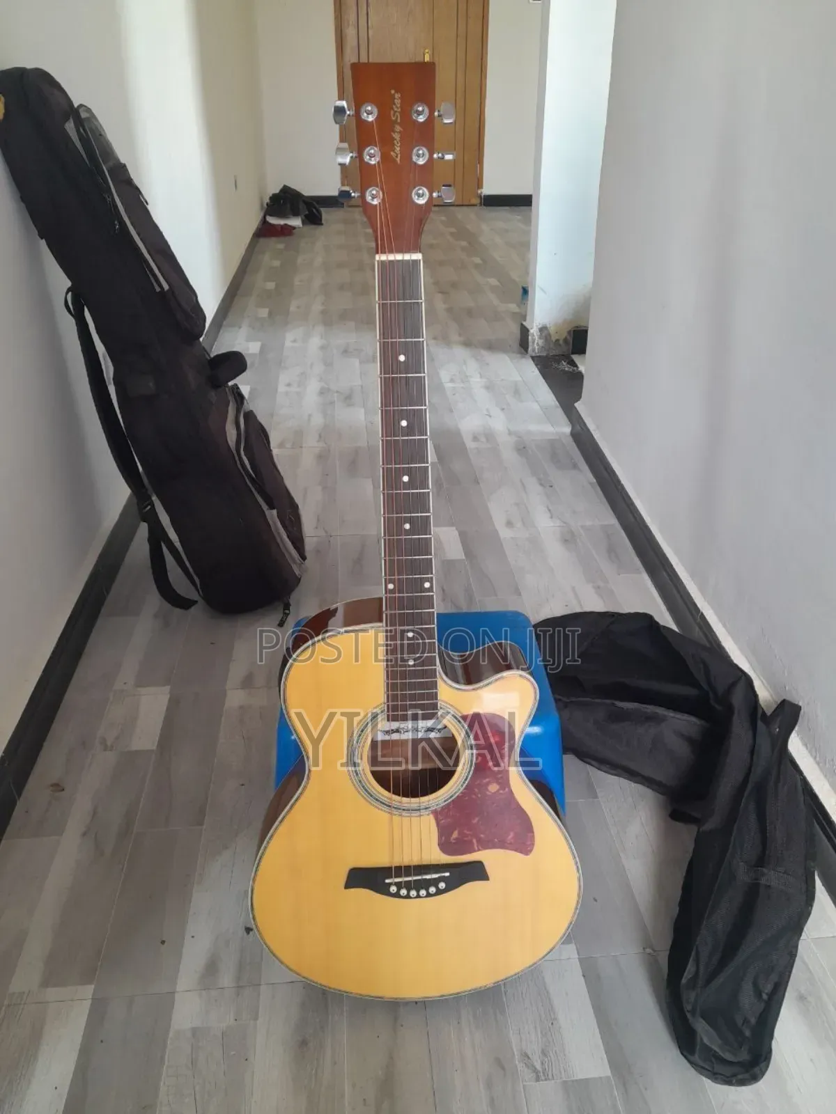 Guitar New
