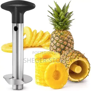  Pineapple Pealer/የአናናስ መላጪያ