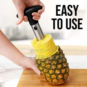  Pineapple Pealer/የአናናስ መላጪያ