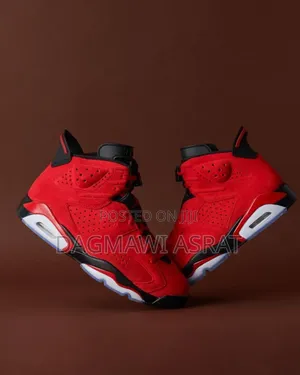 Jordan 6 Toro Bravo (2025) 