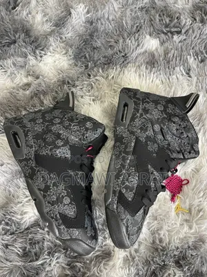 Jordan 6 Single Days