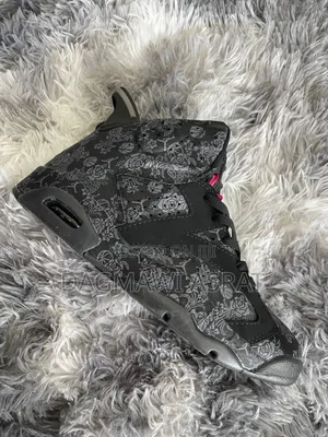 Jordan 6 Single Days