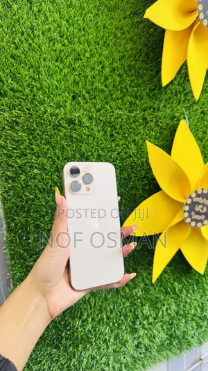 Apple iPhone 16 Pro Max 256 GB Gold