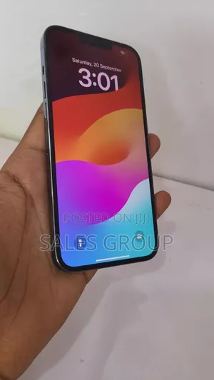 Apple iPhone 13 Pro Max 256 GB Gray