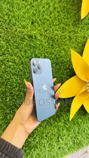 Apple iPhone 12 Pro Max 128 GB Blue