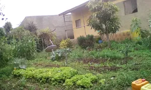 Photo - 3bdrm House in Oromia-Finfinne for sale