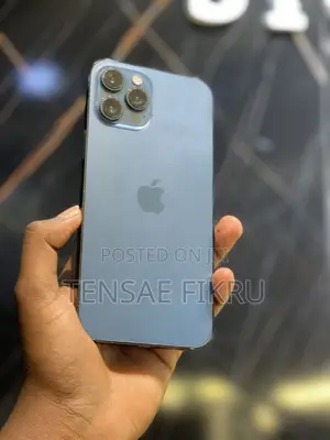 Apple iPhone 12 Pro Max 256 GB Blue