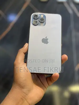 Photo - Apple iPhone 12 Pro Max 256 GB Blue