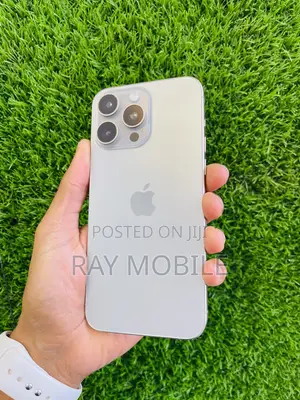 Apple iPhone 15 Pro Max 256 GB Silver