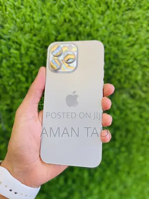 Apple iPhone 15 Pro Max 256 GB Silver