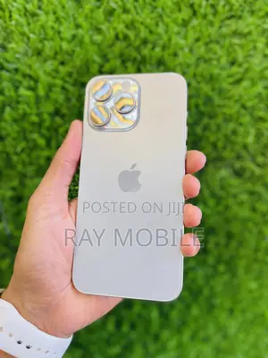 Apple iPhone 15 Pro Max 256 GB Silver