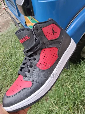 Air Jordan Access Bred Jumpman