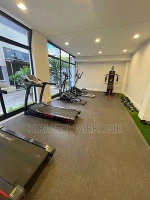 Furnished 2bdrm Apartment in Bole for rent