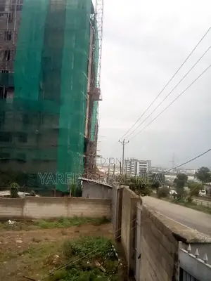 ሳሪስ ሀና ማርያም በ8ወር የ