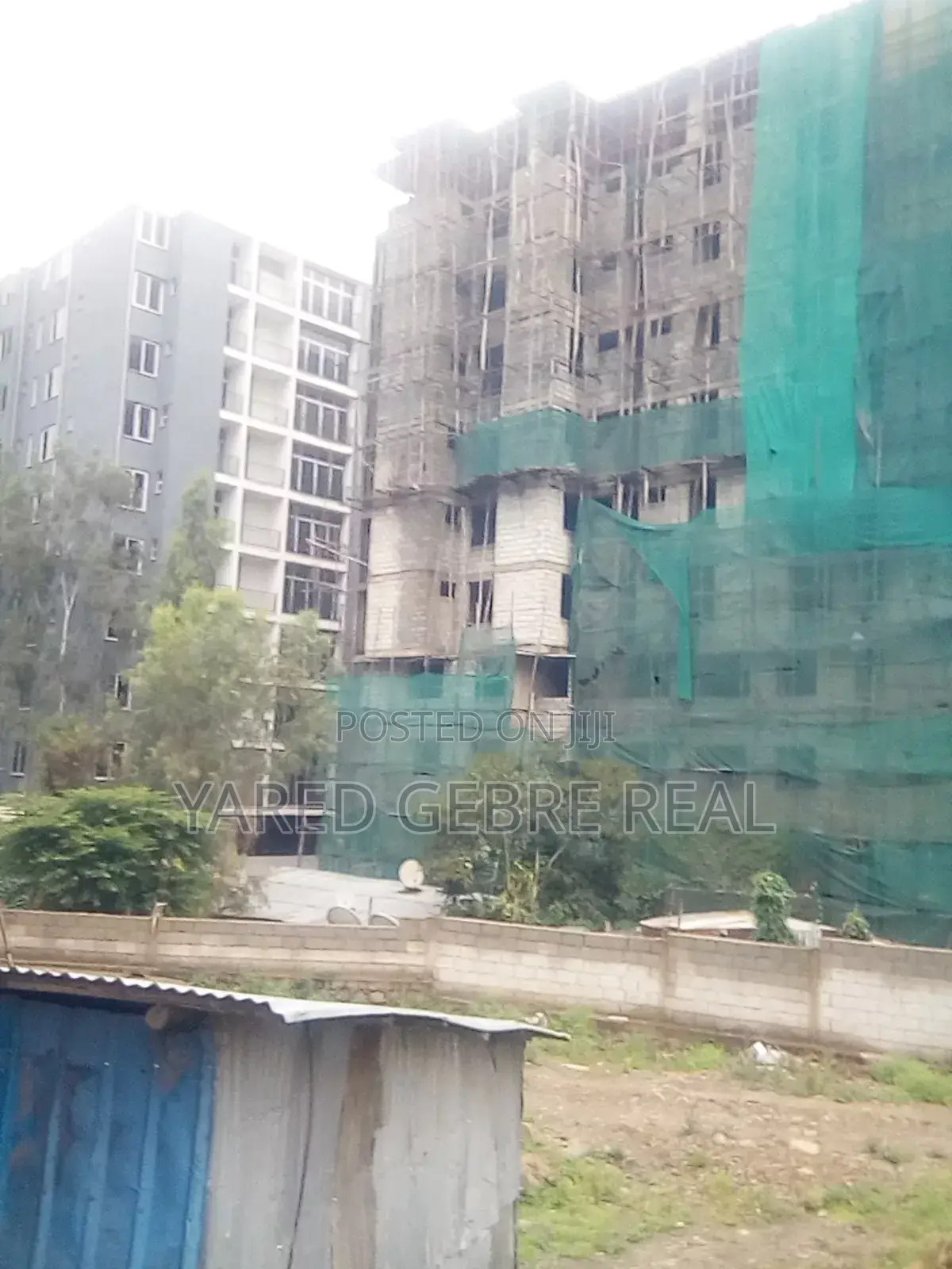 ሳሪስ ሀና ማርያም በ8ወር የ