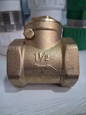 Cheek Valve