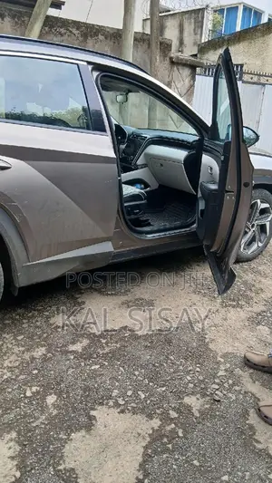 Hyundai Tucson 2022 Gray