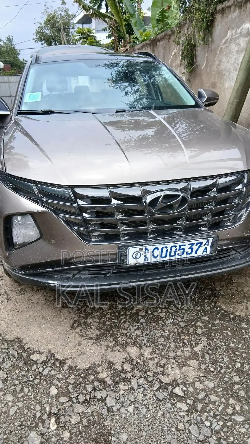 Hyundai Tucson 2022 Gray