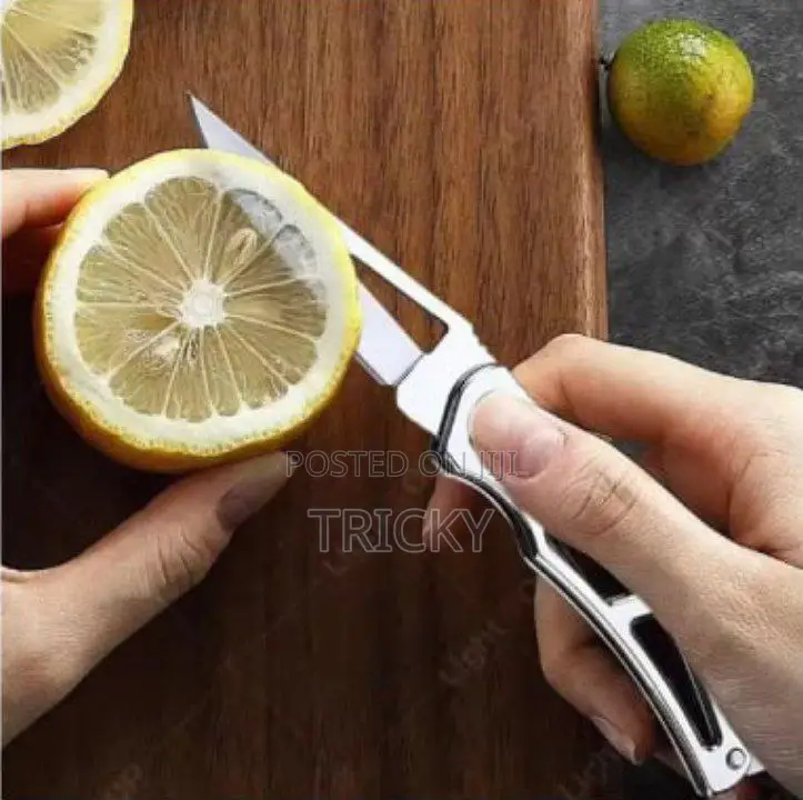 Portable Mini Folding Knife Stainless Steel Keychain Self-defense