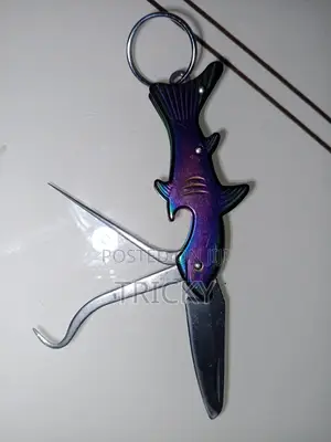 Stainless Steel Multifunctional Folding Knife / Toothpick Tool