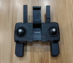 Drone (Holy Stone 120d)