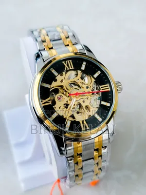 Photo - Skimie Automatic Luxury Mechanical Watch