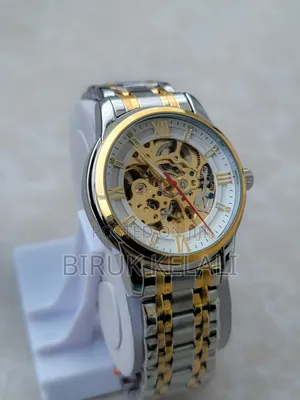 Skimie Automatic Luxury Mechanical Watch