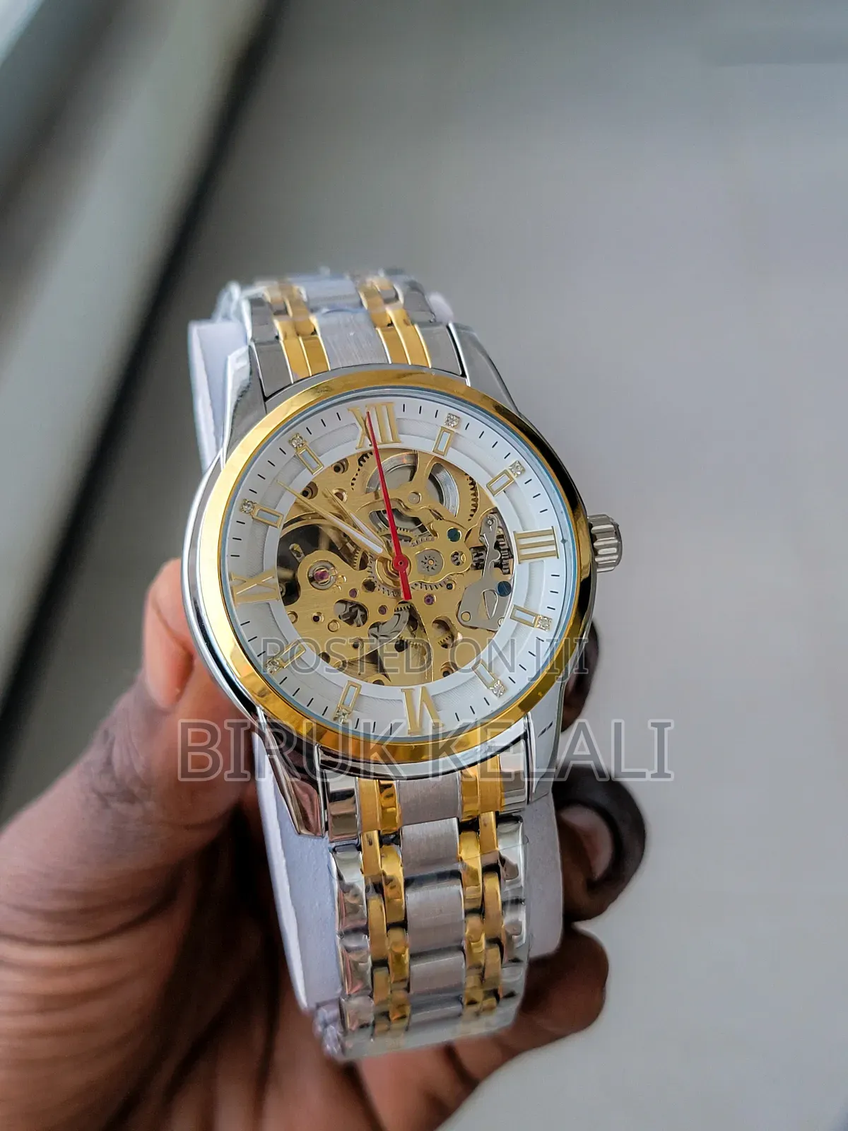 Skimie Automatic Luxury Mechanical Watch