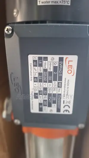 Leo Vertical Multistage 2.5hp Pump ሊዮ ላቪያጆ ፓምፕ
