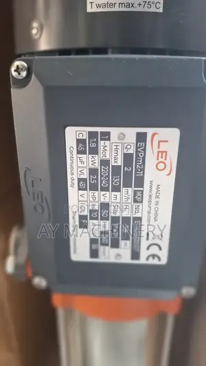 Leo Vertical Multistage 2.5hp Pump ሊዮ ላቪያጆ ፓምፕ