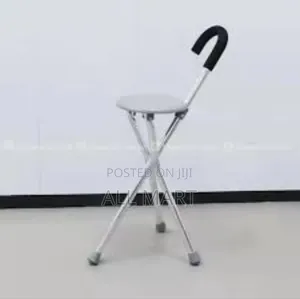 Walking Stick With Seat