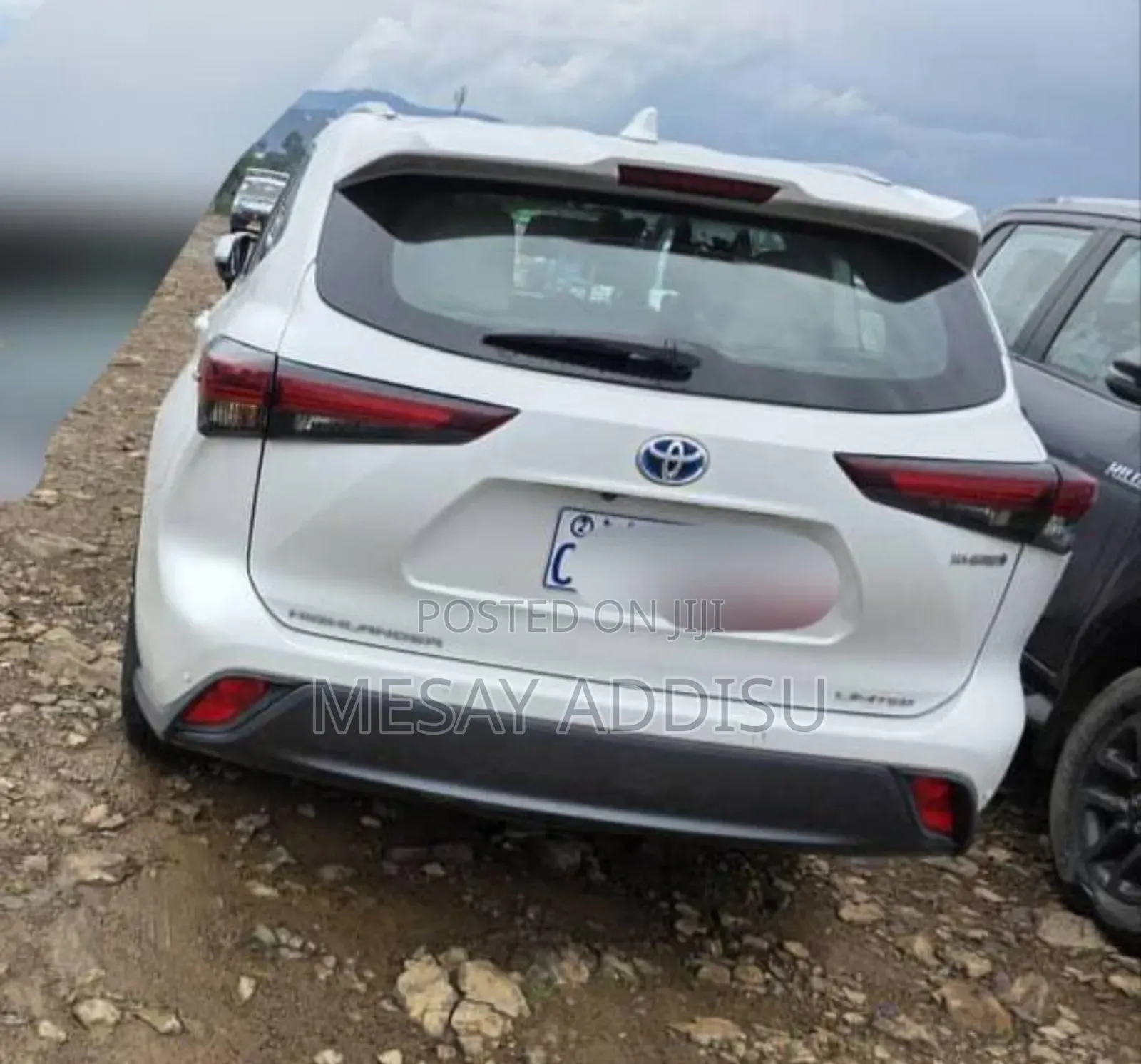 Toyota Highlander Hybrid 2024 White