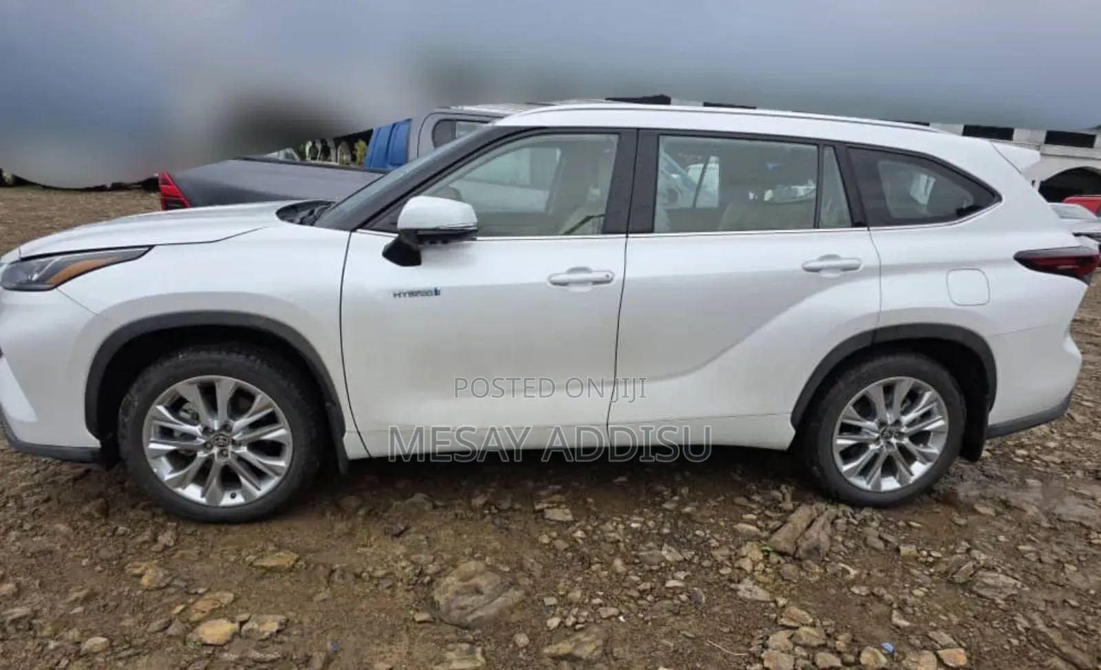 Toyota Highlander Hybrid 2024 White